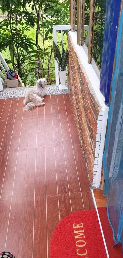 Cozy Tinyhouse Near Sm City Daet Exterior photo